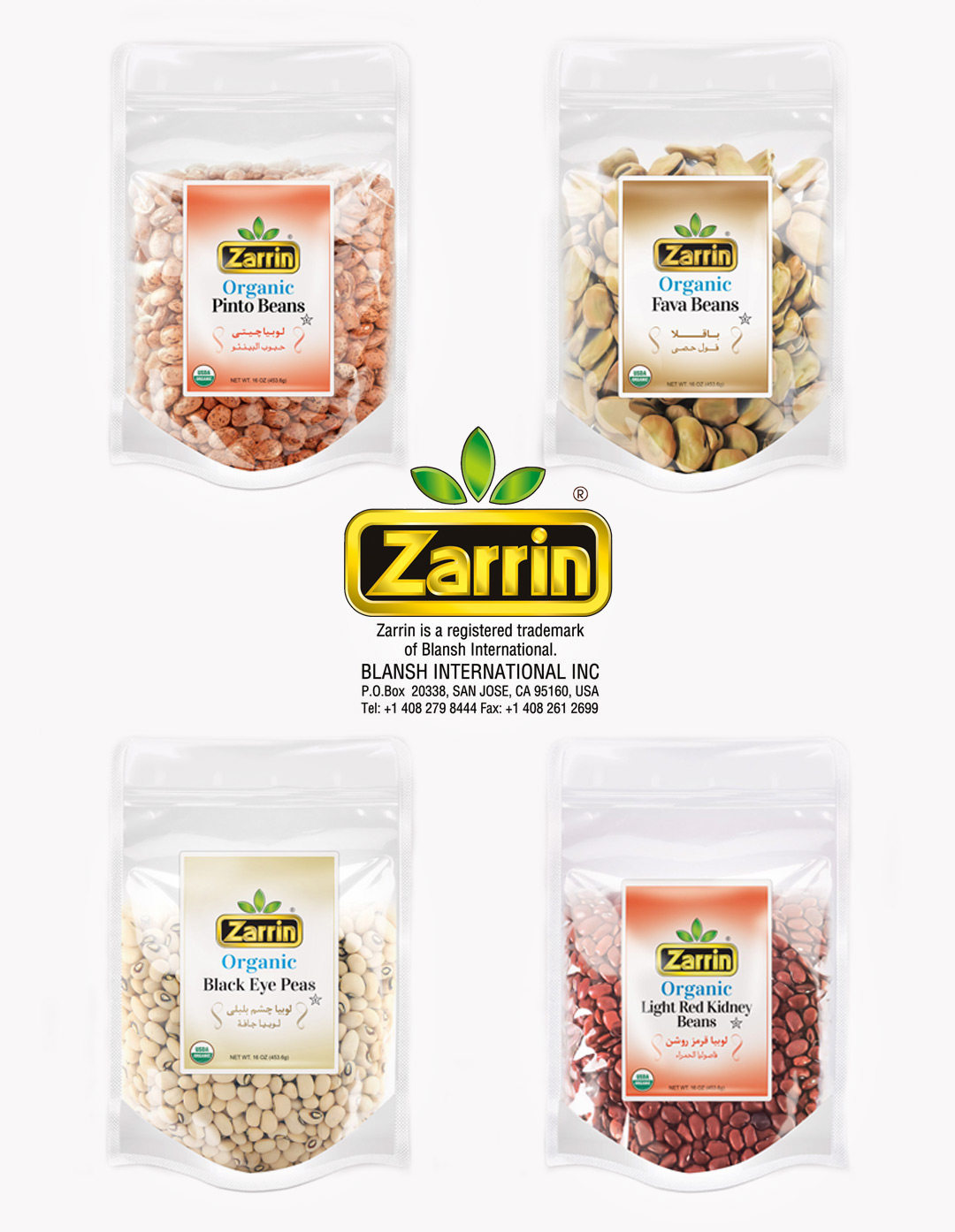 Organic Beans by Zarrin.